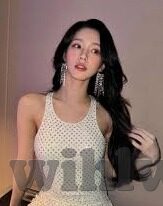 91麻豆精品国产自拍-探索网络平台的多样化表达——从91麻豆精品国产自拍现象谈起