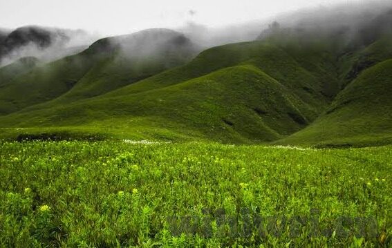 大象传媒在线果冻天美-大象传媒在线果冻天美的艺术与创意探索