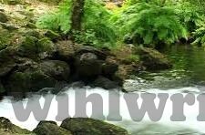 法国伦理片-法国伦理片，光影下的道德探索与人性沉思